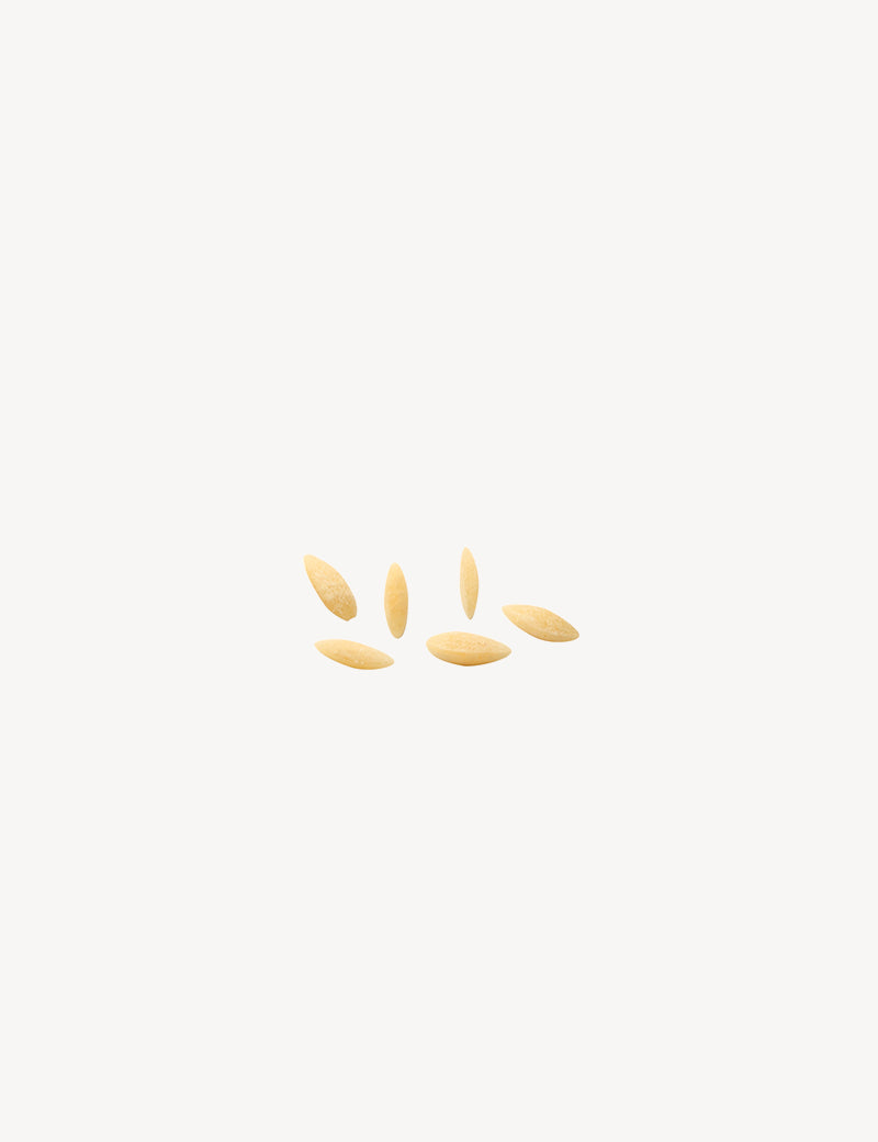 Orzo